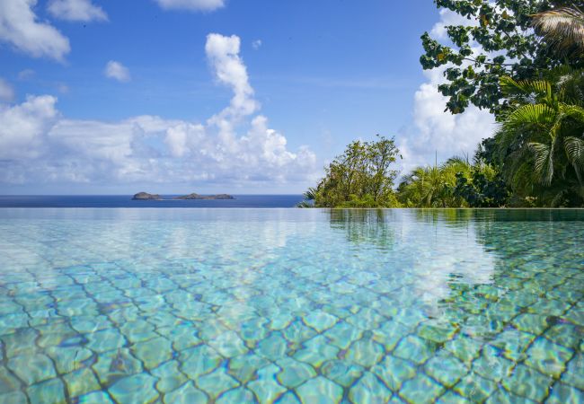 Villa en Saint Barthélemy - TERRE INDIGO