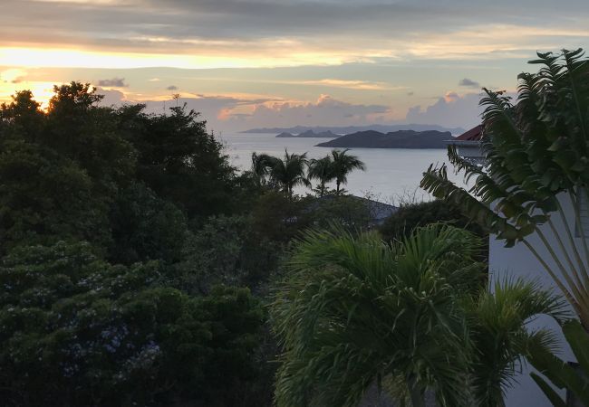 Villa en Saint Barthélemy - LSF