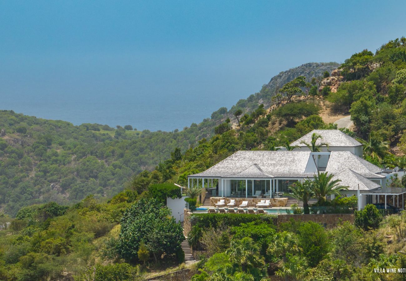 Villa en San Bartolomé - WINE NOTE