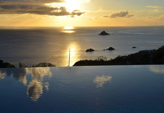 Villa en Saint Barthélemy - VAGUE BLEUE  Villa en Saint Barthélemy - VAGUE BLEUE