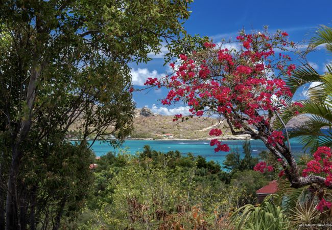 Villa en Saint Barthélemy - SAS Villa en Saint Barthélemy - SAS