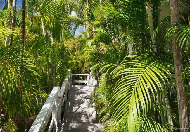 Villa en Saint Barthélemy - MAISON DODO Villa en Saint Barthélemy - MAISON DODO