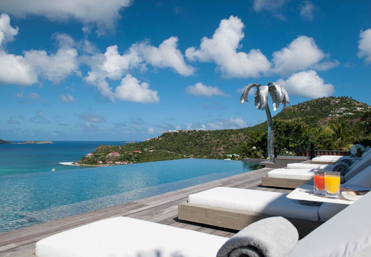 Villa en Saint Barthélemy - Neo
