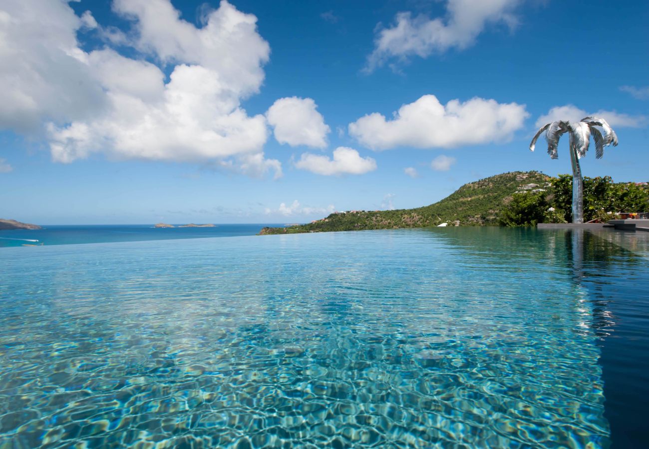 Villa en Saint Barthélemy - Neo