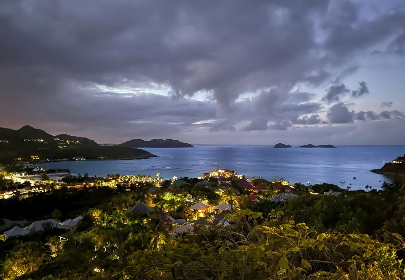 Villa à Saint Barthélemy - TERRE INDIGO