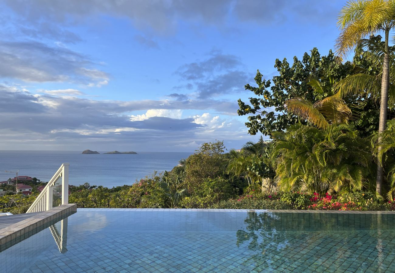 Villa à Saint Barthélemy - TERRE INDIGO