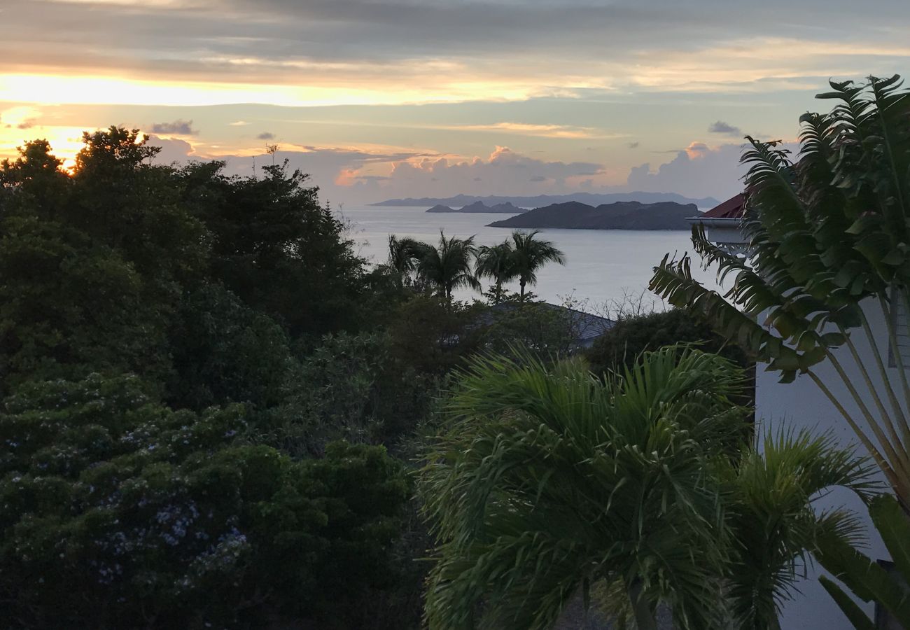 Villa à Saint Barthélemy - LSF 