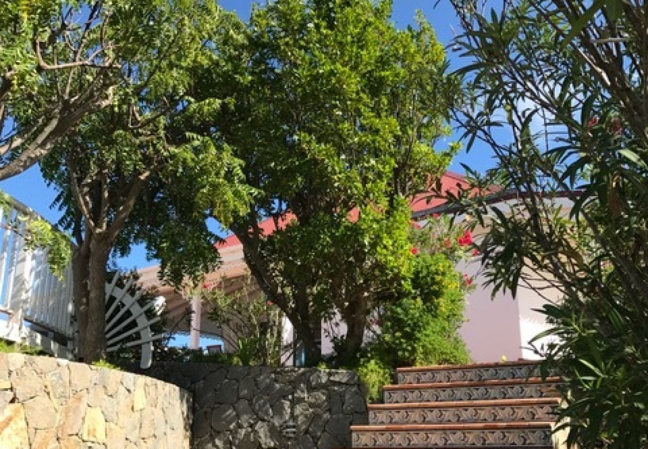 Villa à Saint Barthélemy - LSF 