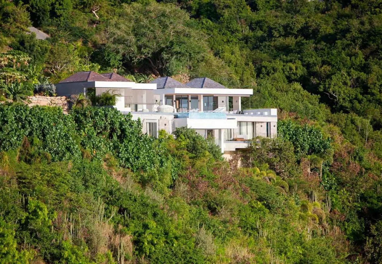 Villa à Saint Barthélemy - VITTI
