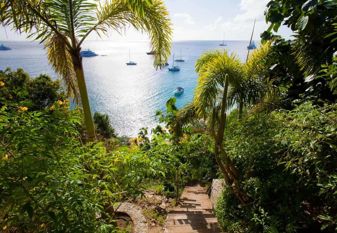 Villa à Saint Barthélemy - VITTI