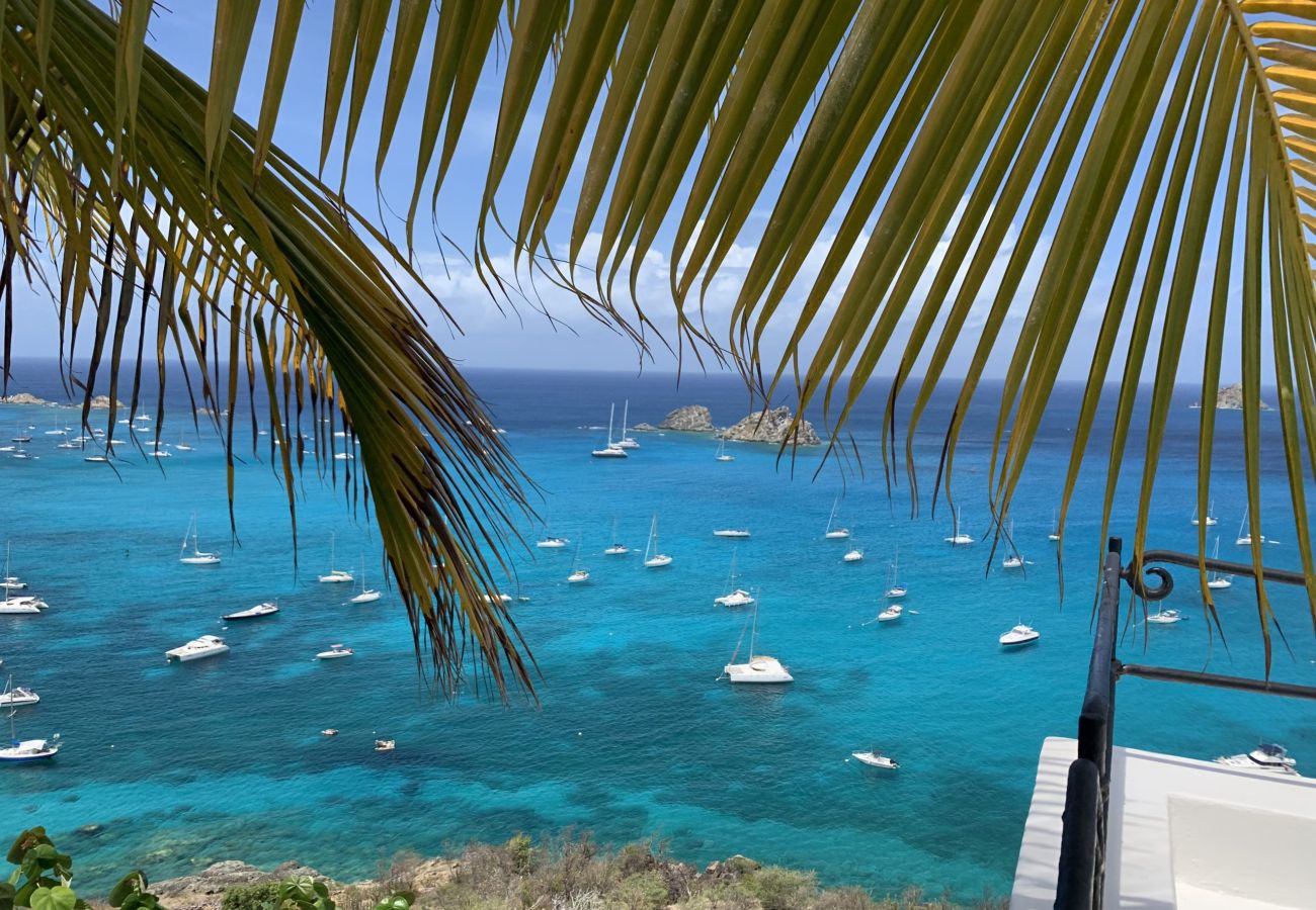 Villa à Saint Barthélemy - MAURESQUE