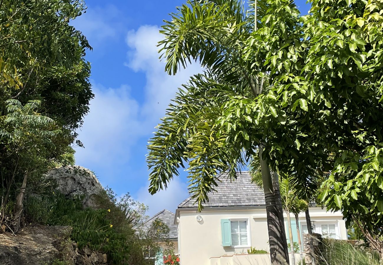 Villa à Saint Barthélemy - CHO