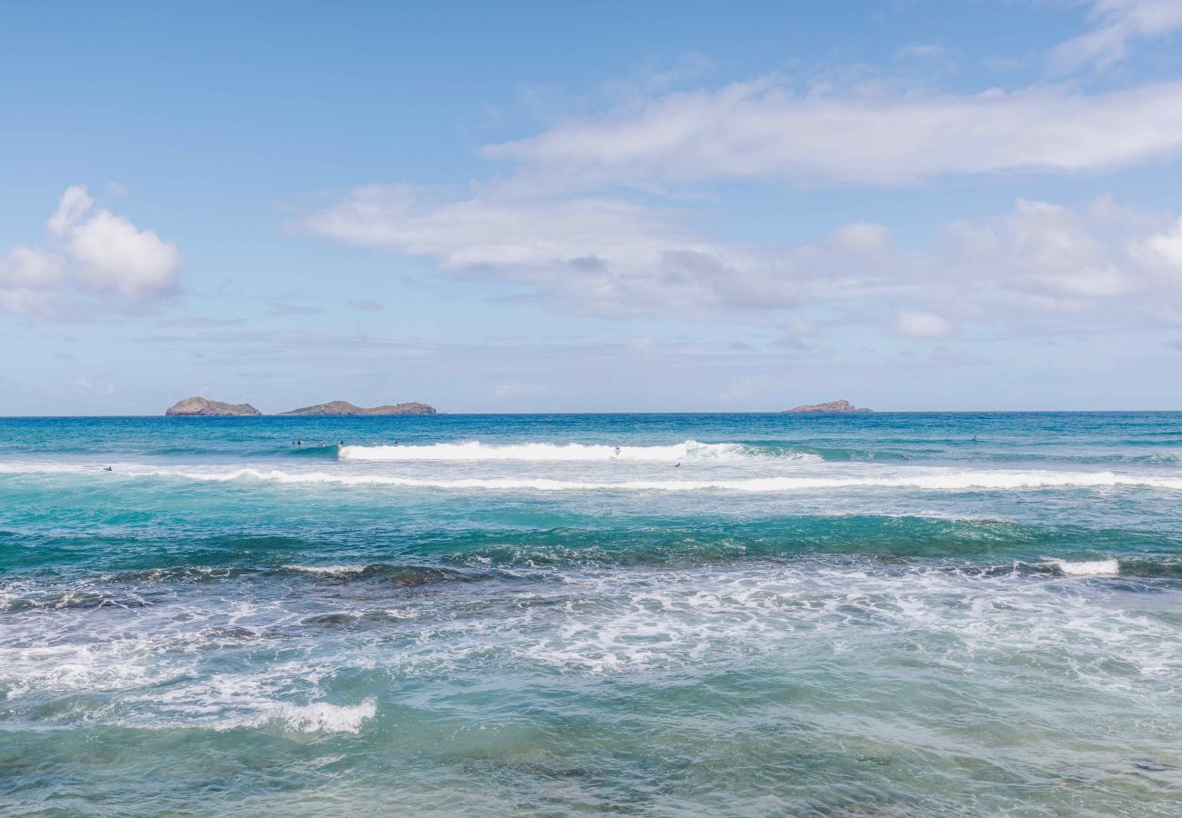 Villa à Saint Barthélemy - MAVERICK