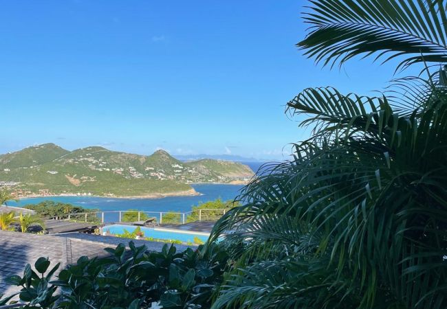 Appartement à Saint Barthélemy - LES OURSINS Appartement à Saint Barthélemy - LES OURSINS