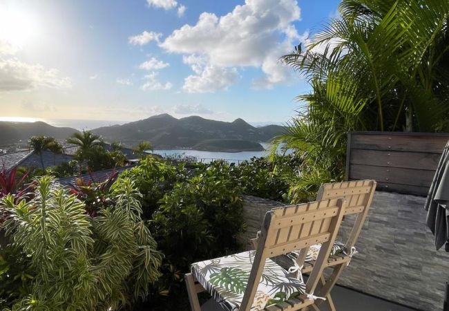  à Saint Barthélemy - LES OURSINS