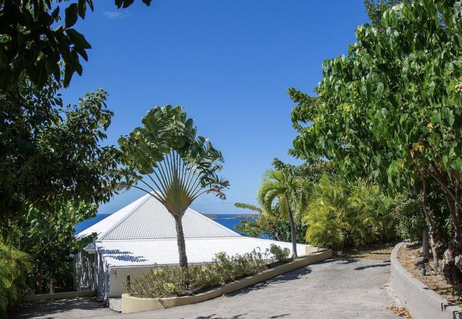 Villa à Saint Barthélemy - LA TORTUE