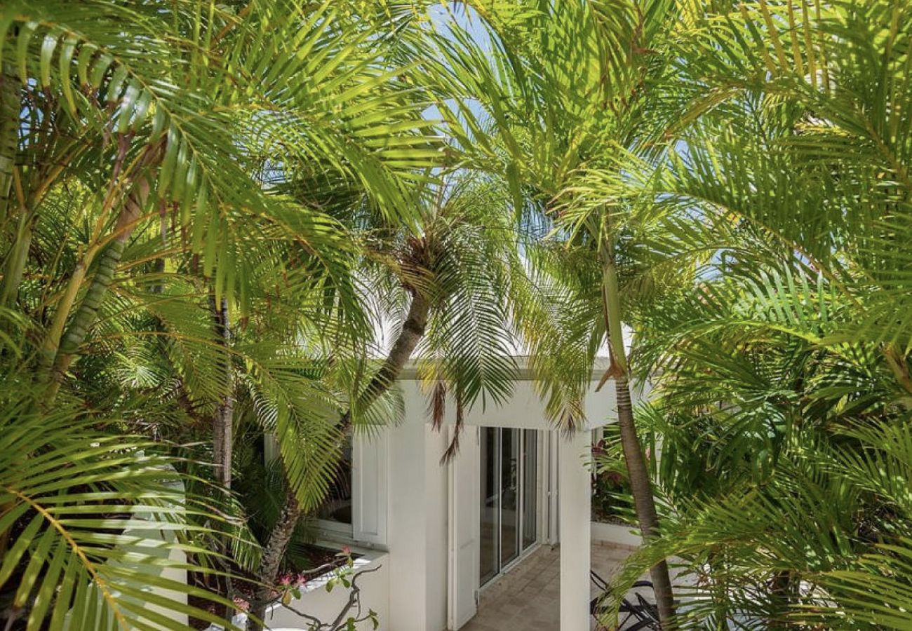 Villa à Saint Barthélemy - ROSE DES VENTS