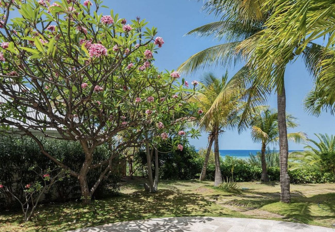 Villa à Saint Barthélemy - ROSE DES VENTS