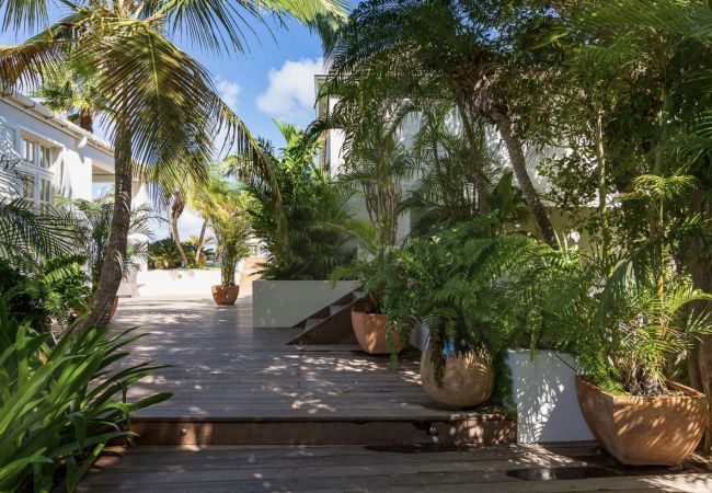 Villa à Saint Barthélemy - ELA