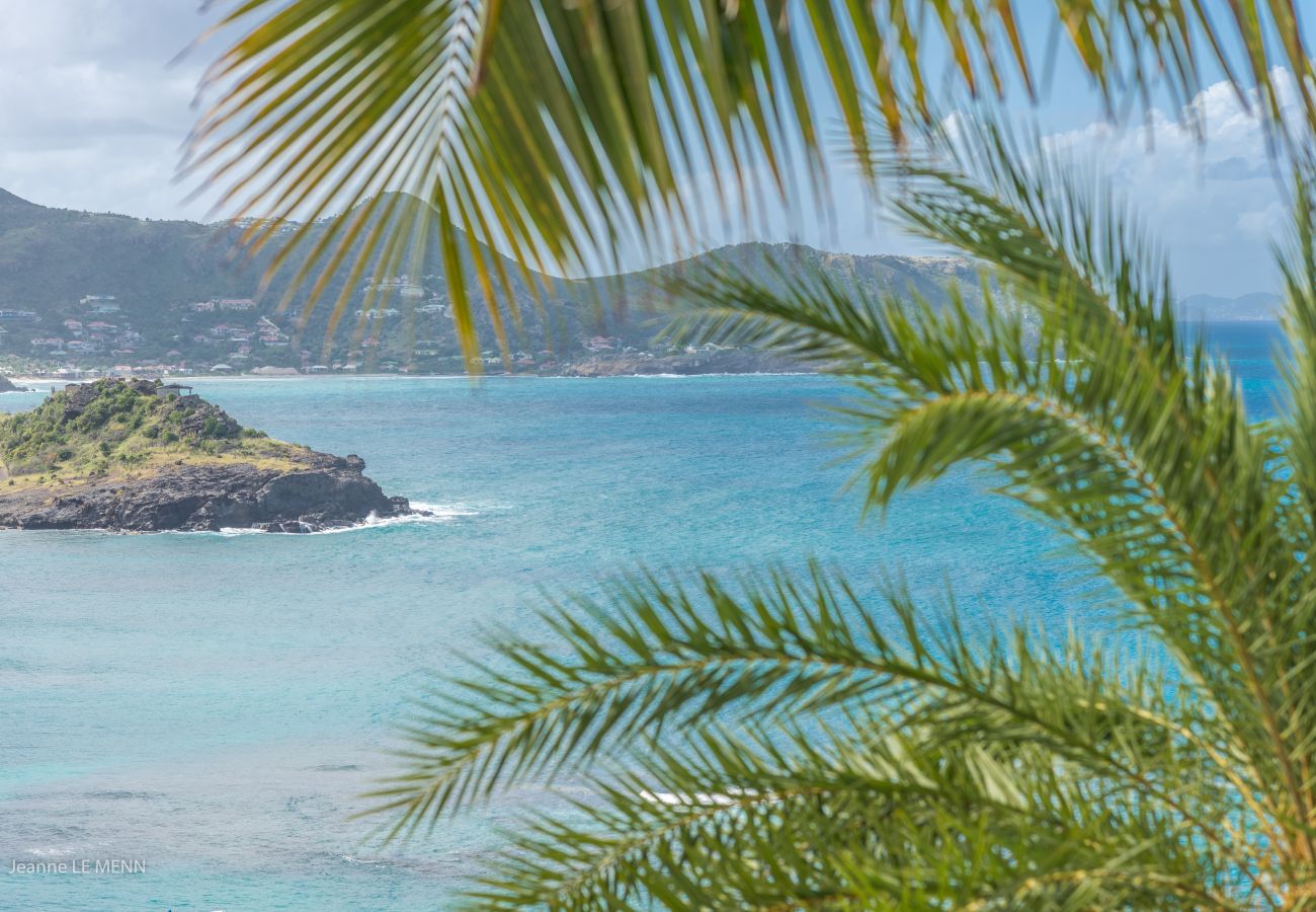 Villa à Saint Barthélemy - COCO