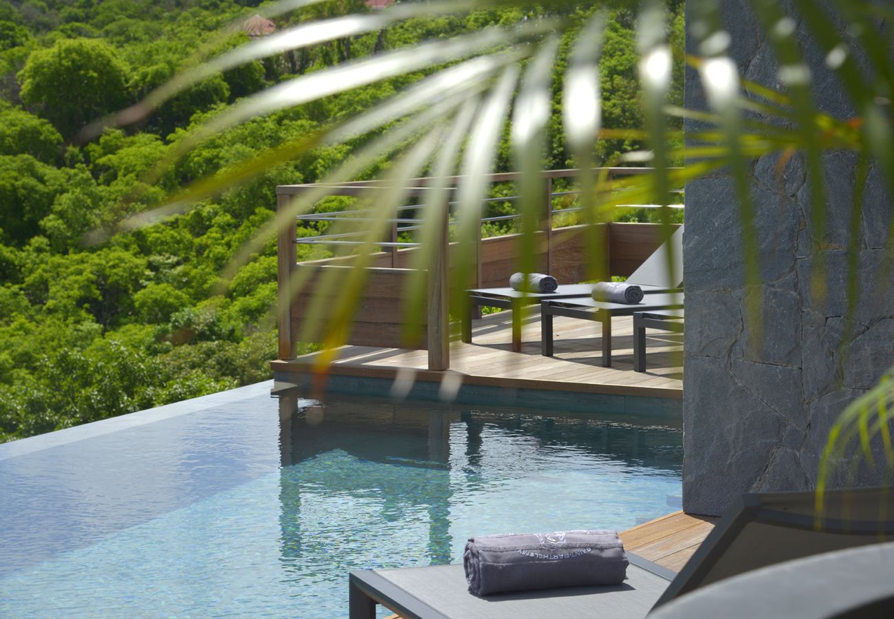 Villa à Saint Barthélemy - ALPAKA