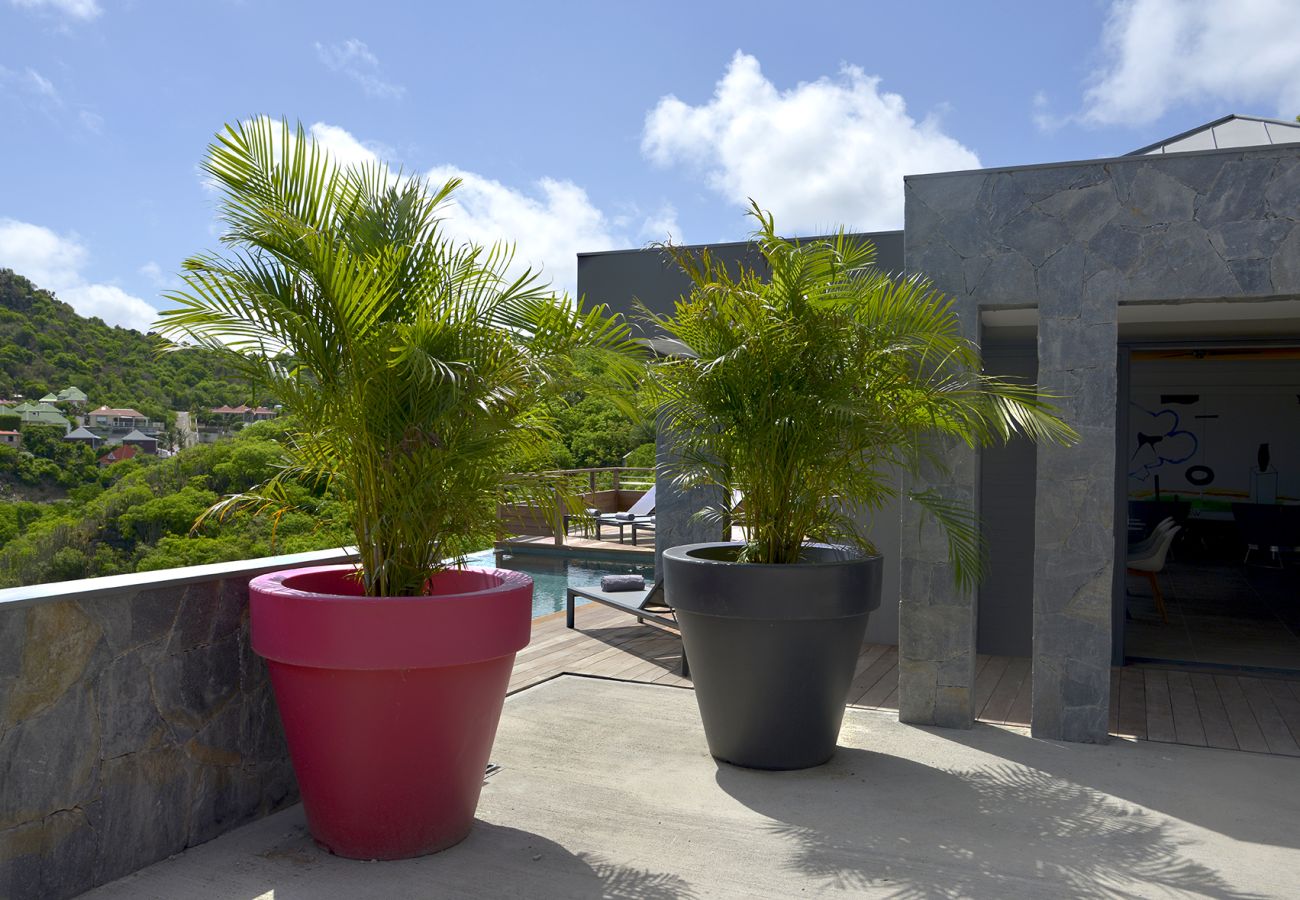Villa à Saint Barthélemy - ALPAKA