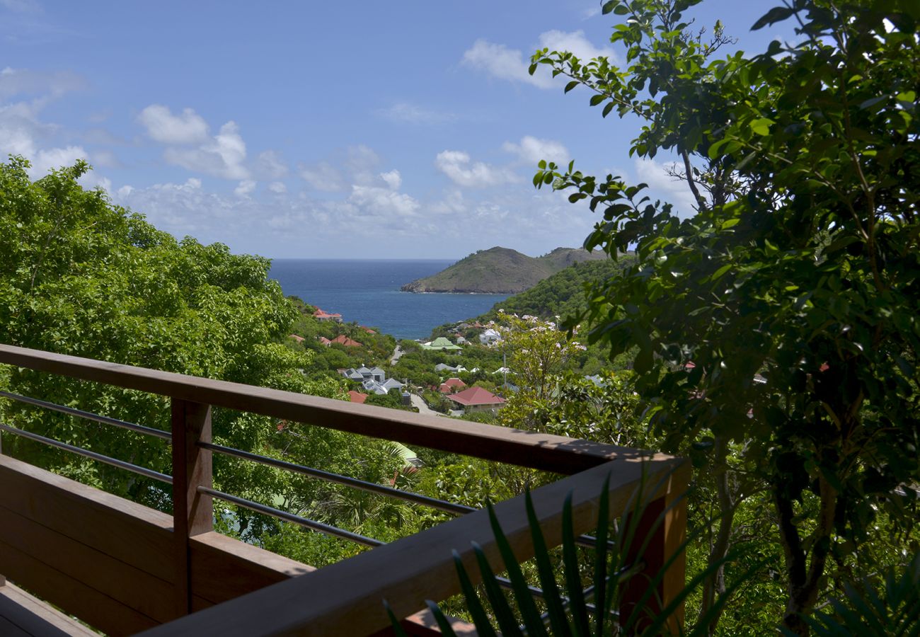 Villa à Saint Barthélemy - ALPAKA