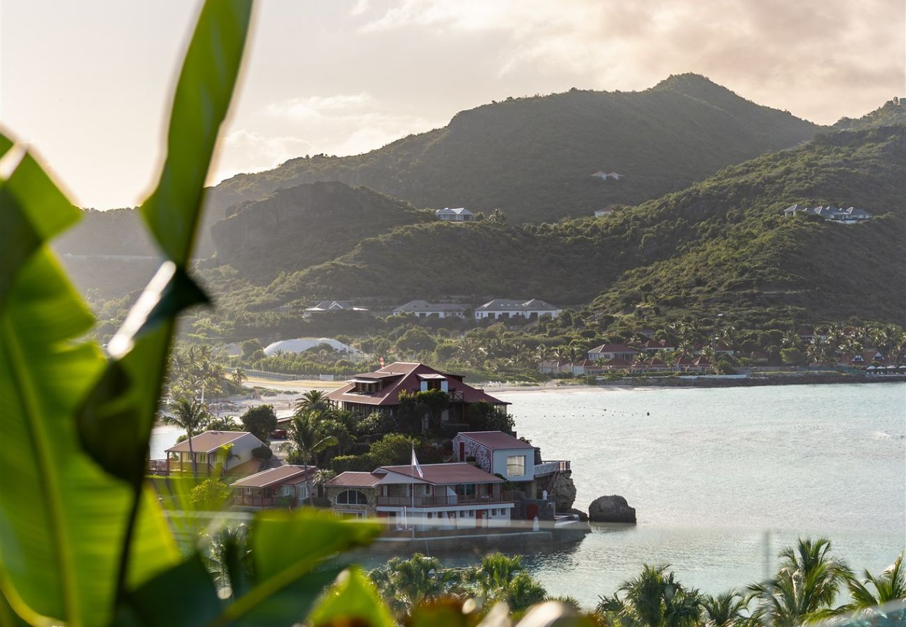 Villa à Saint Barthélemy - MAUD