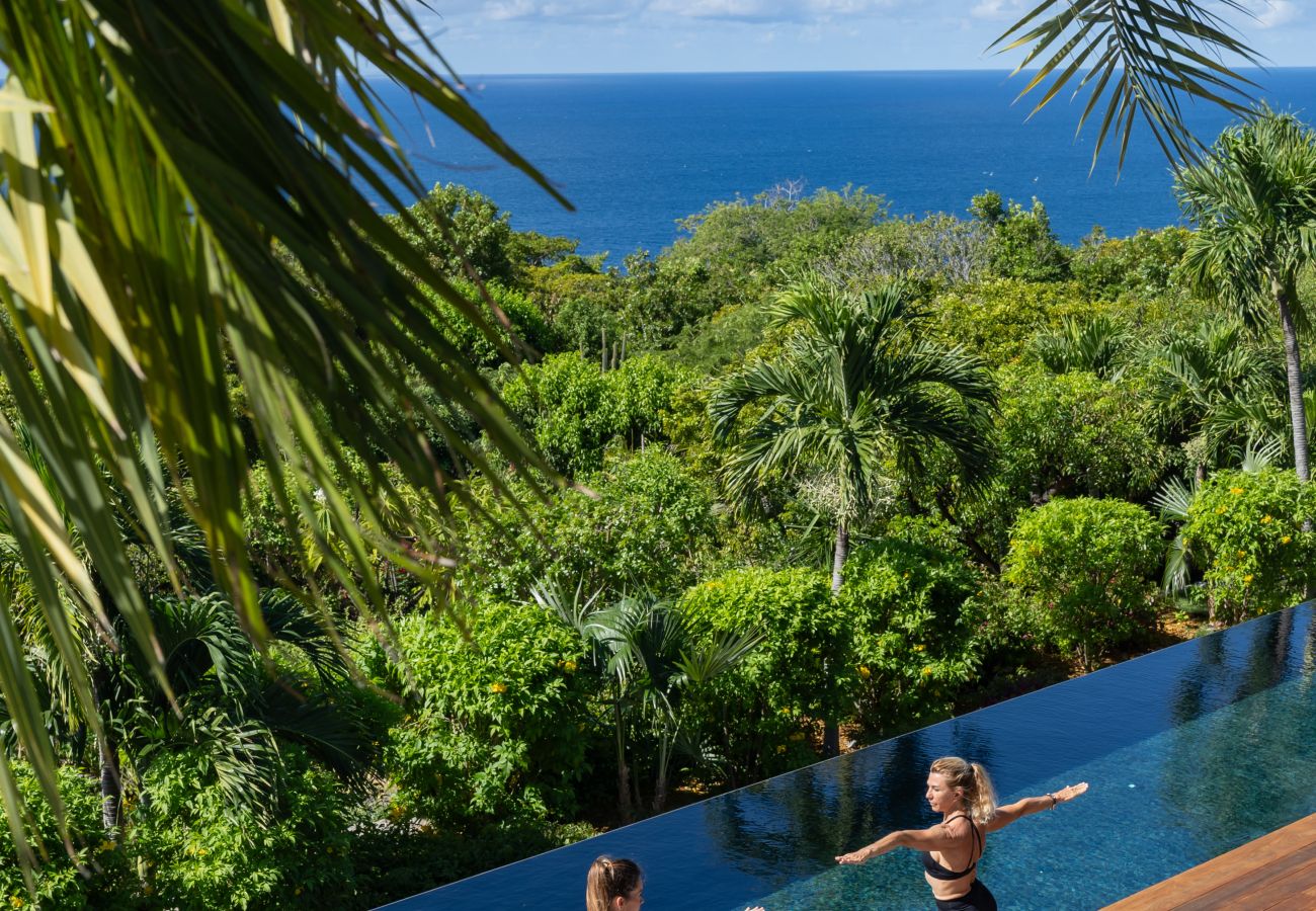 Villa à Saint Barthélemy - AMANCAYA COSY 
