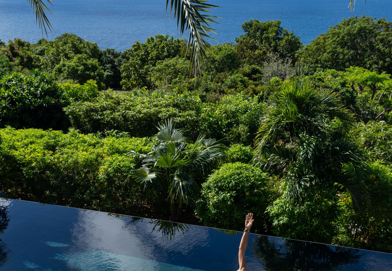 Villa à Saint Barthélemy - AMANCAYA COSY 