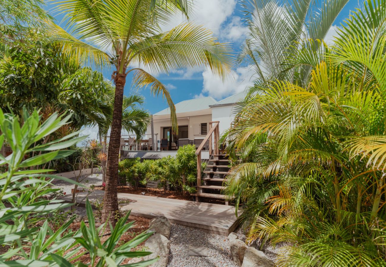 Villa à Saint Barthélemy - AMANCAYA COSY 