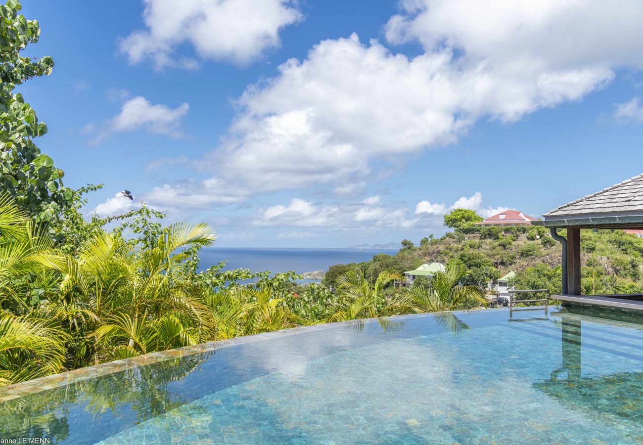 Villa à Saint Barthélemy - Fleur de Cactus