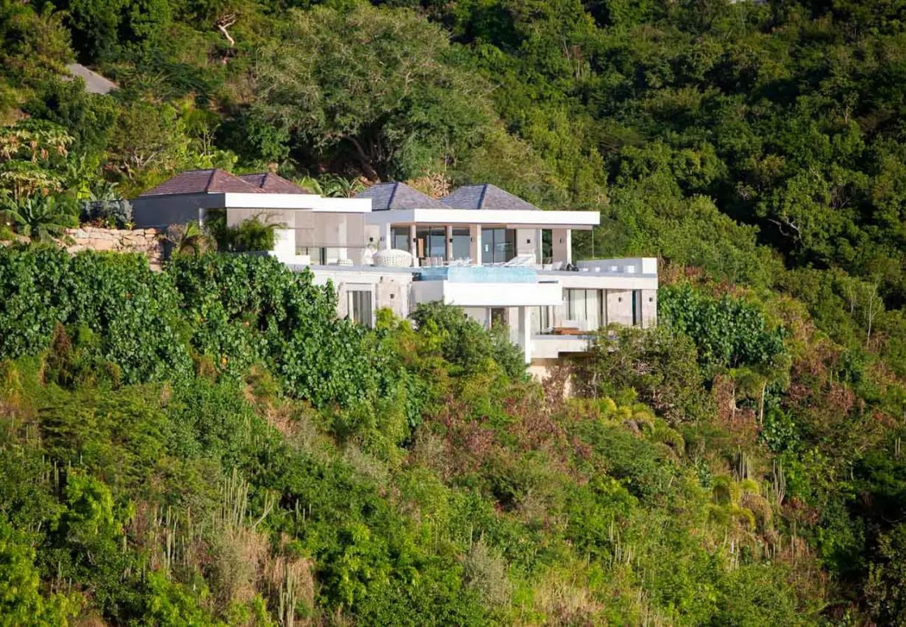 Villa in Saint Barthélemy - VITTI