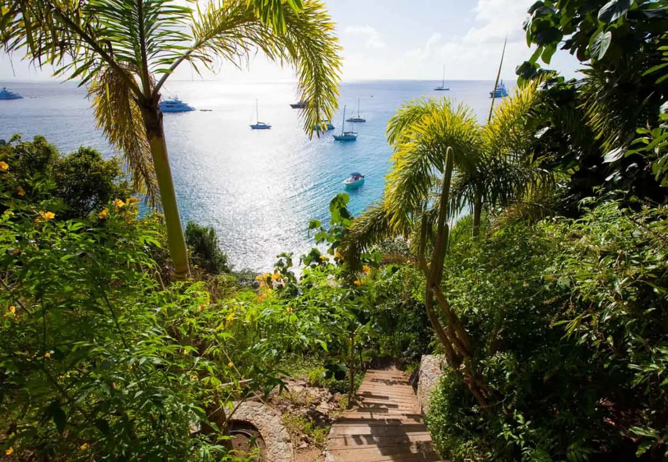 Villa in Saint Barthélemy - VITTI