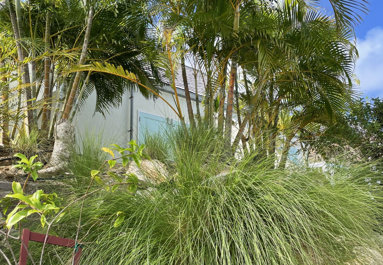Villa in Saint Barthélemy - CHO