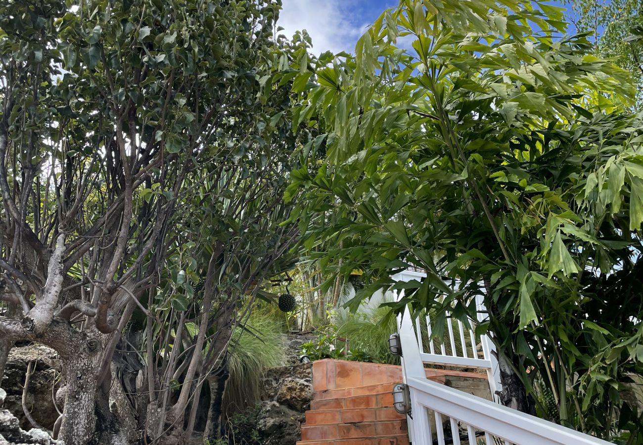 Villa in Saint Barthélemy - CHO