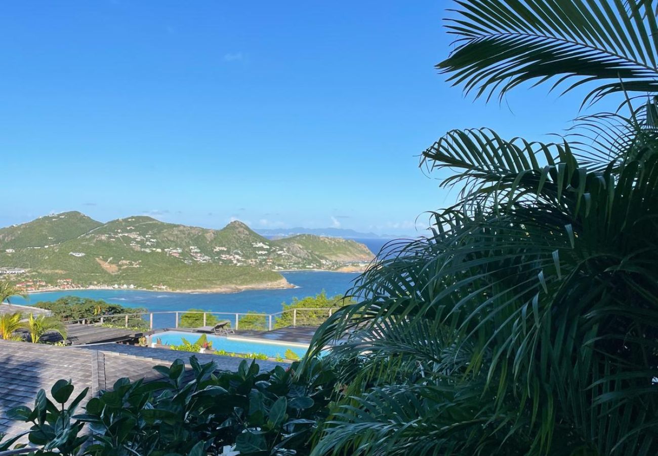 Apartment in Saint Barthélemy - LES OURSINS