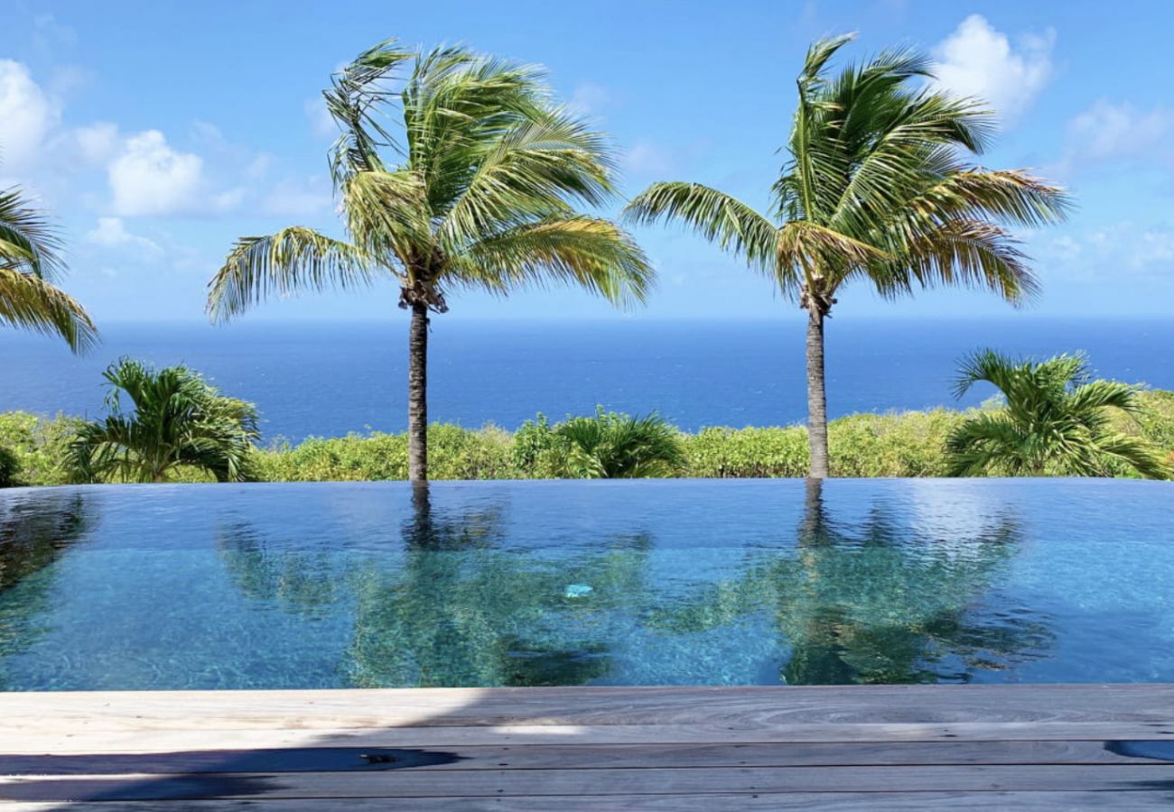 Villa in Saint Barthélemy - NEPTUNE