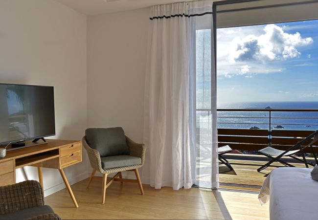 Villa in Saint Barthélemy - EDUNIA Villa in Saint Barthélemy - EDUNIA