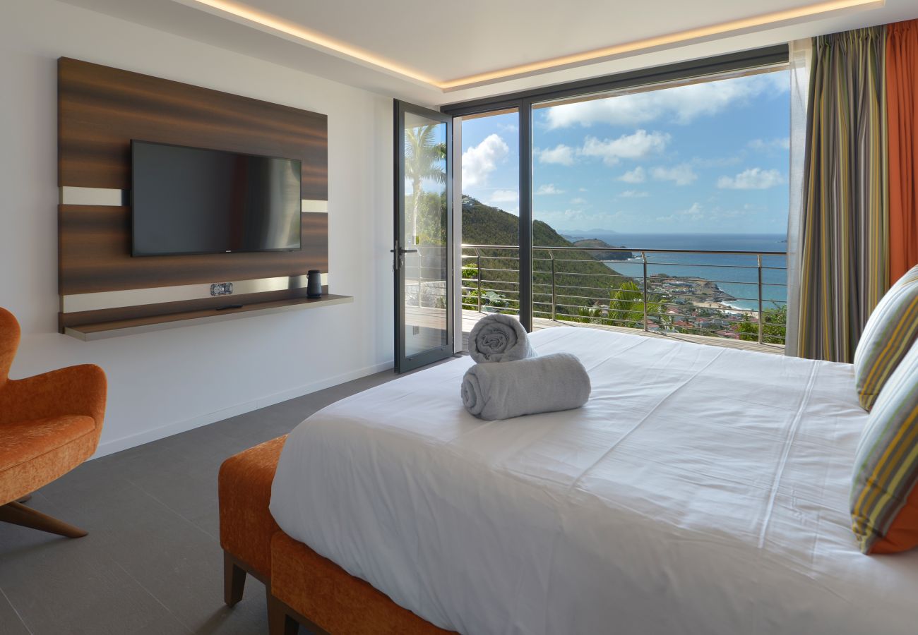 Villa in Saint Barthélemy - THE SOURCE