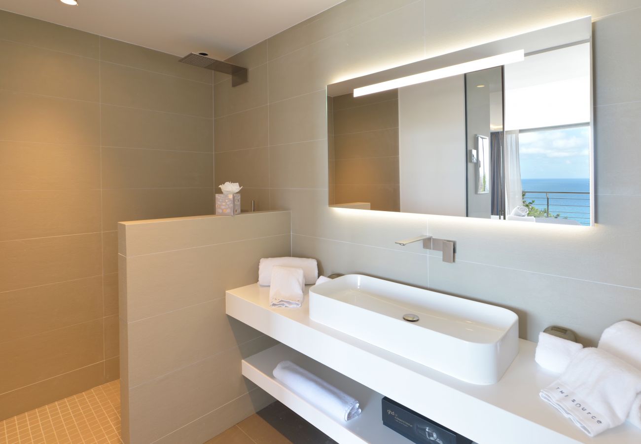 Villa in Saint Barthélemy - THE SOURCE