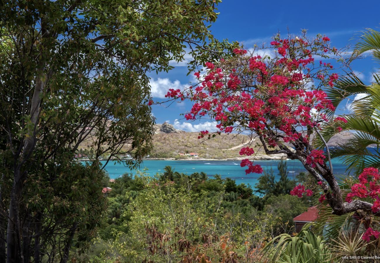 Villa in Saint Barthélemy - SAS