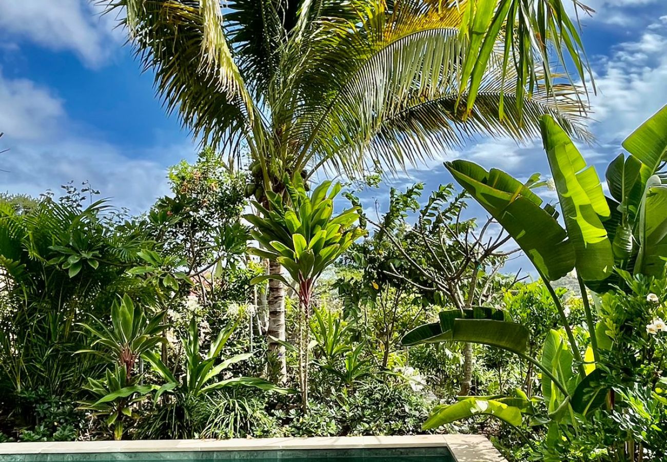 Villa in Saint Barthélemy - HOLY HOME
