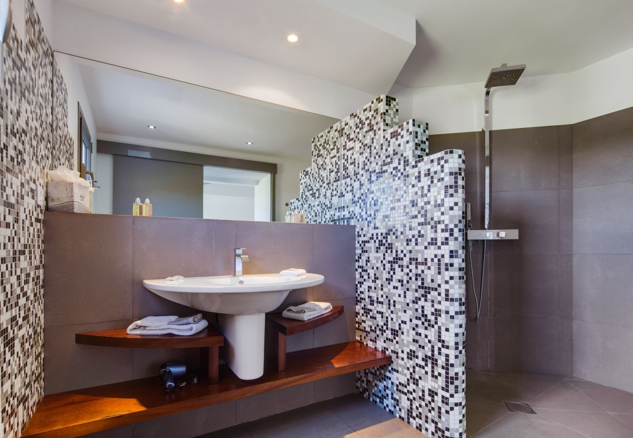 Villa in Saint Barthélemy - DATCHA