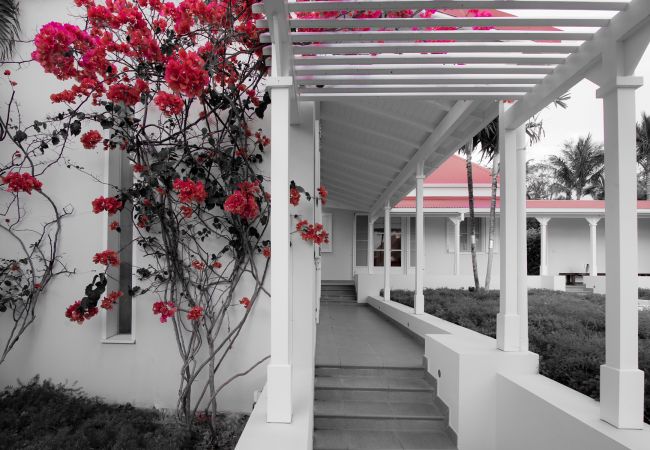Villa in Saint Barthélemy - Belle Bague Villa in Saint Barthélemy - Belle Bague