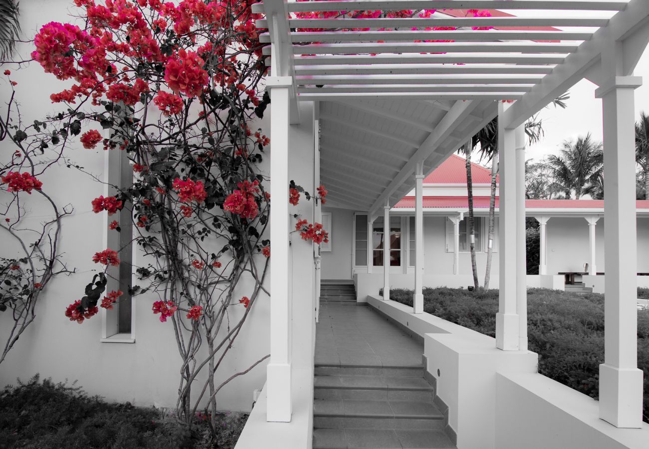 Villa in Saint Barthélemy - Belle Bague