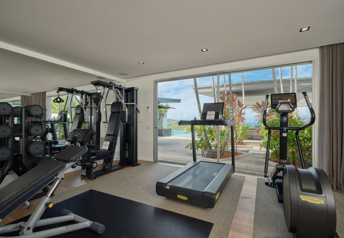 Villa in Saint Barthélemy - WINGS