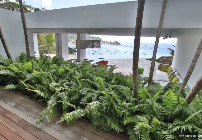 Villa in Saint Barthélemy - INFRA Villa in Saint Barthélemy - INFRA
