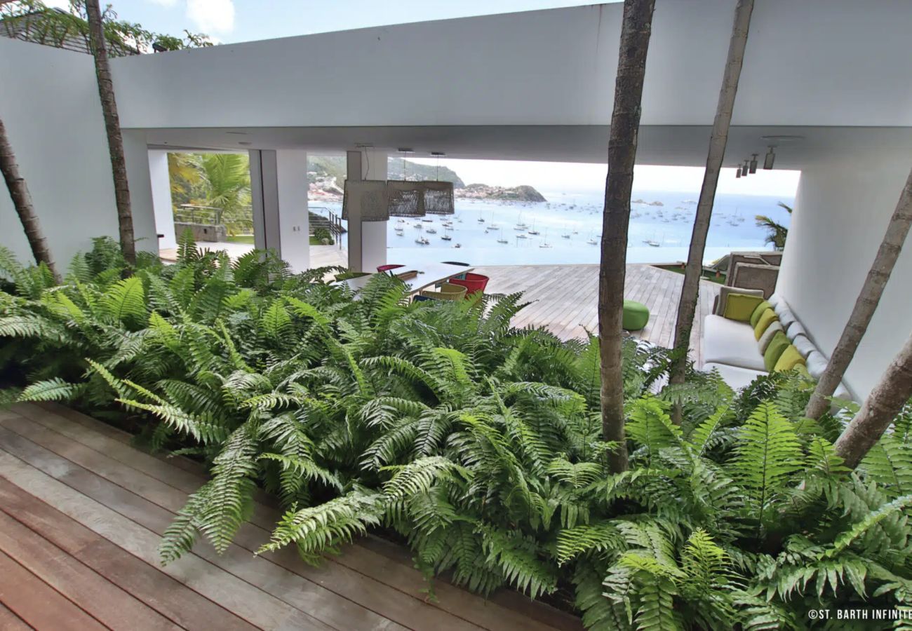 Villa in Saint Barthélemy - INFRA