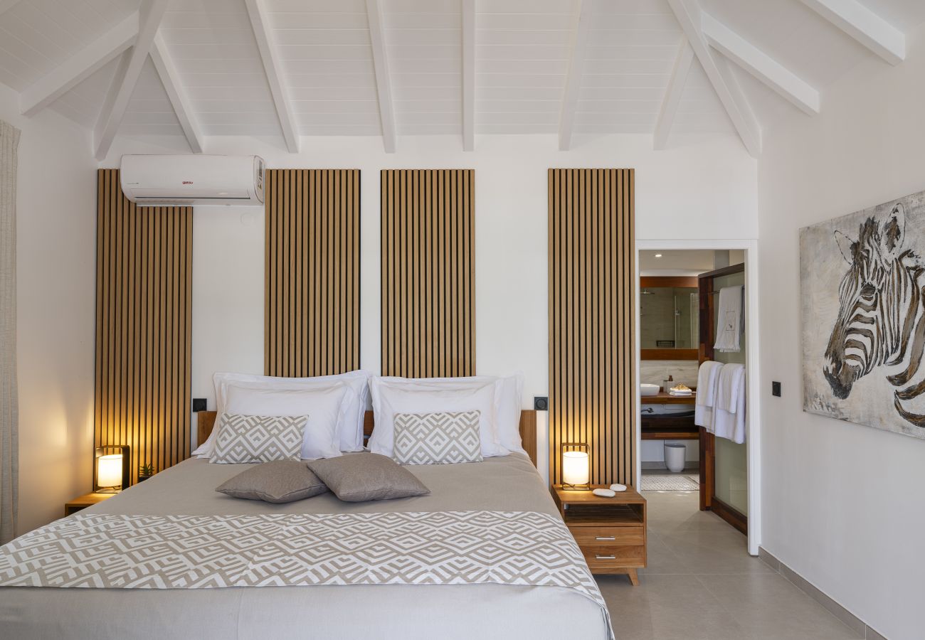 Villa in Saint Barthélemy - Mathilda 